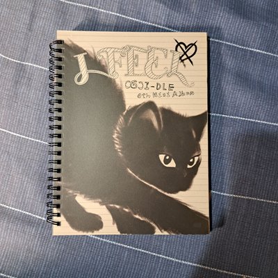 (G)I-DLE I FEEL 貓版空專