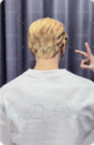 夏日攝影展 周邊卡 T-shirt 卡 背面