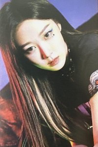 Savage 隨機卡 日本sc bus食物卡吉