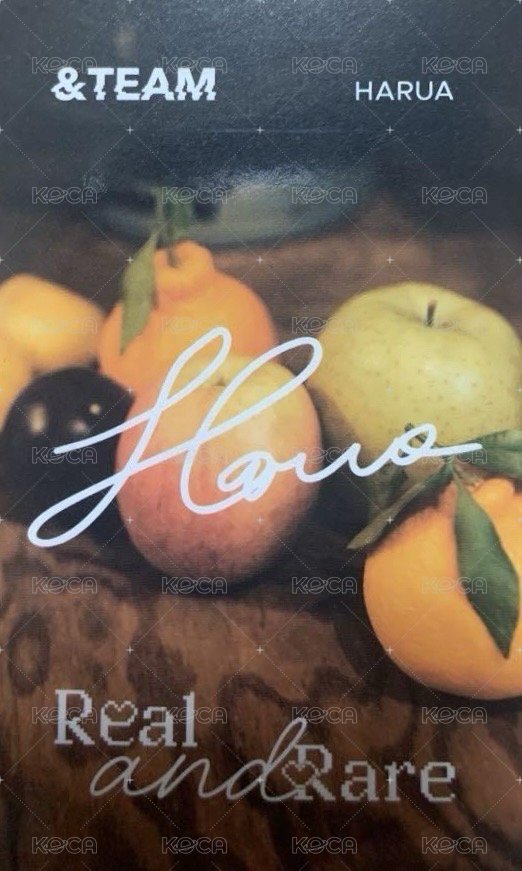 D社/D社日本快閃 隨機卡 B版 D’PARTMENT 背面