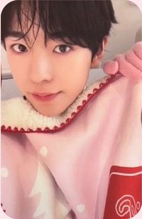 2024聖誕 隨機卡 