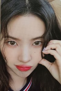 迷七快閃line friends 隨機卡 