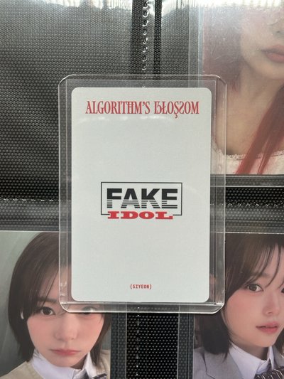 qwer mini2 專輯卡 紅髮燕