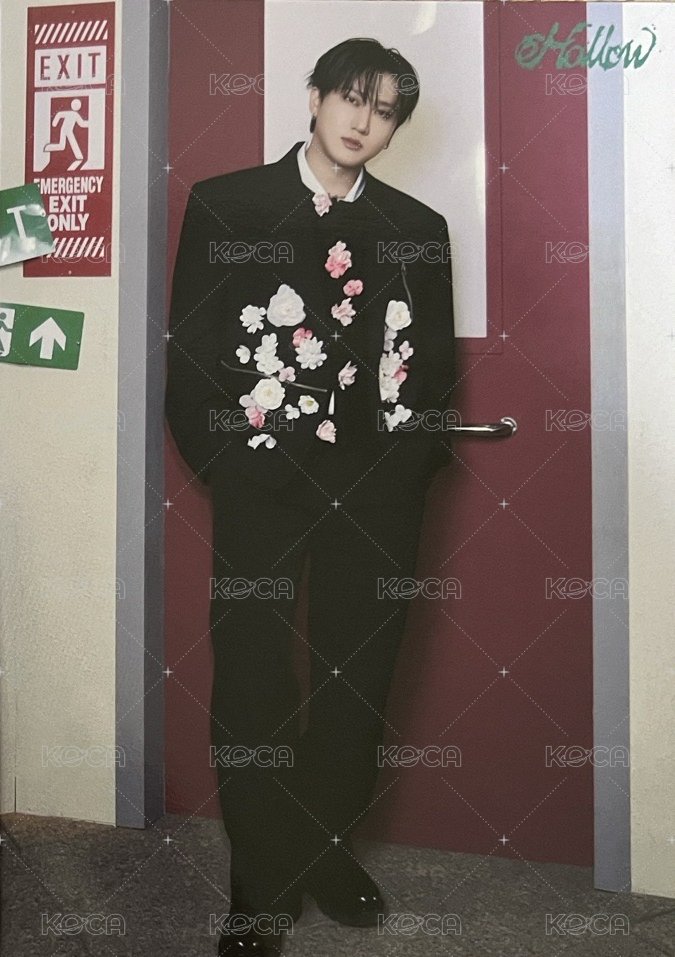 Hollow 隨機卡 大卡 正面