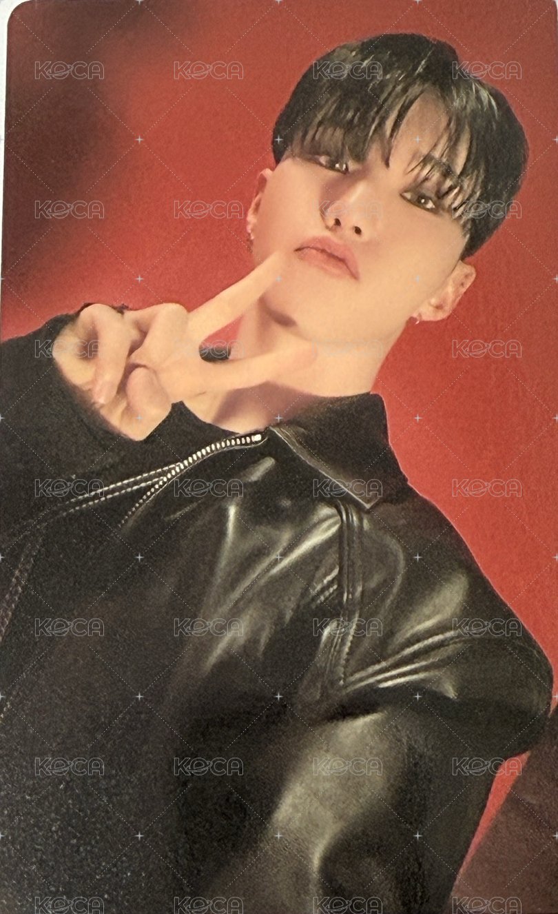 MINI10 wvs carat ver. 特典卡  正面