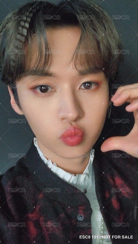 THE SOUND 專輯卡 FC盤 背面