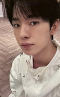 Songbird kms 2.0 v1 簽售卡 