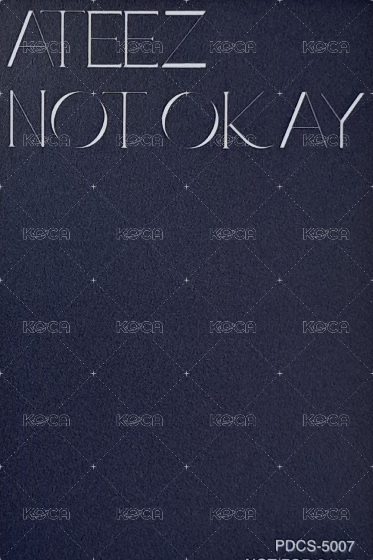 Not Okay 專輯卡 Flash Price 背面