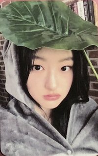 單曲一點石成金 el 線下 簽售卡 龍貓卡