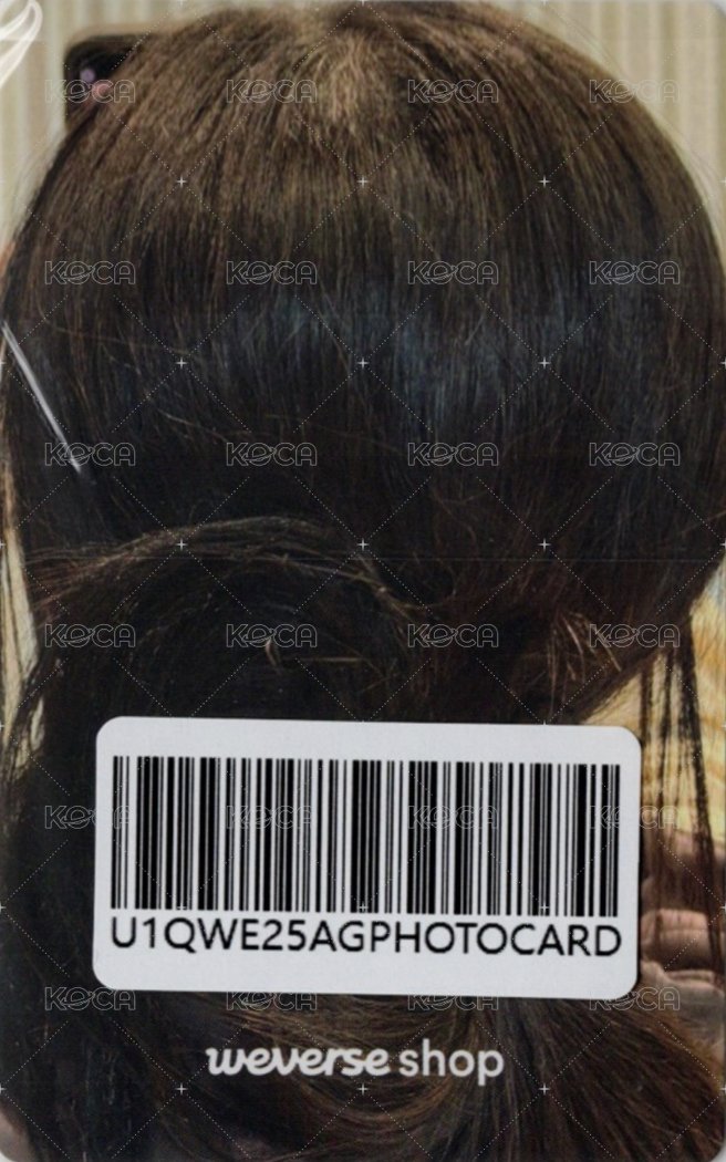 迷三 wvs 1.0 簽售卡  背面