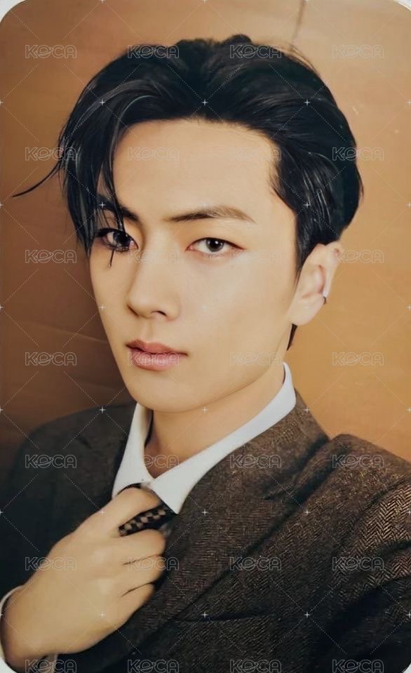 暗月特別專 專輯卡  正面