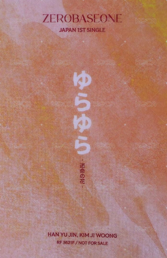 日專 專輯卡 通常盤 ver. 背面