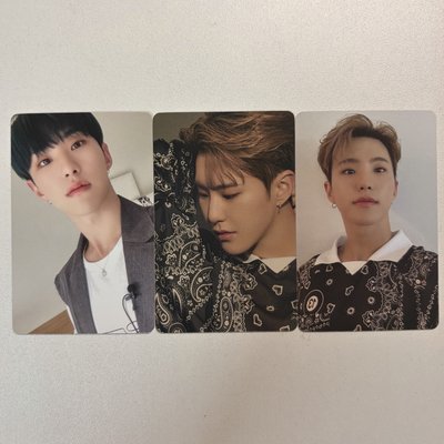 🐯-21‘DICON 卡冊卡 