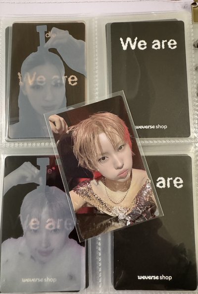 we are wvs 簽售卡