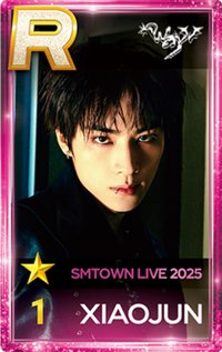 25SMT 遊戲卡 XIAOJUN