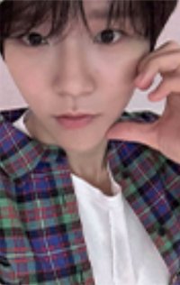 Steady am 2.0 簽售卡 