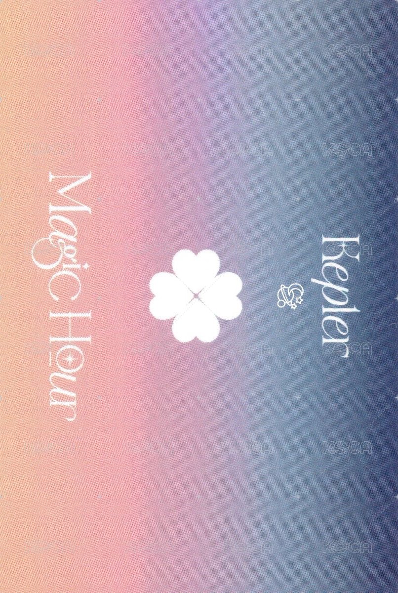 迷五 專輯卡 電子專固卡 團卡 背面