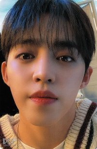 22’D社 周邊卡 22’DICON｜卡冊固卡