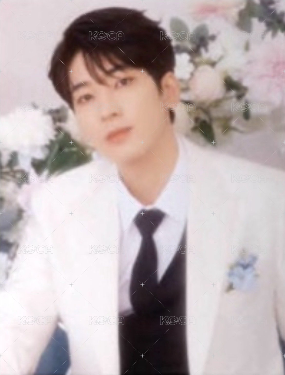 克拉盤 WONWOO封