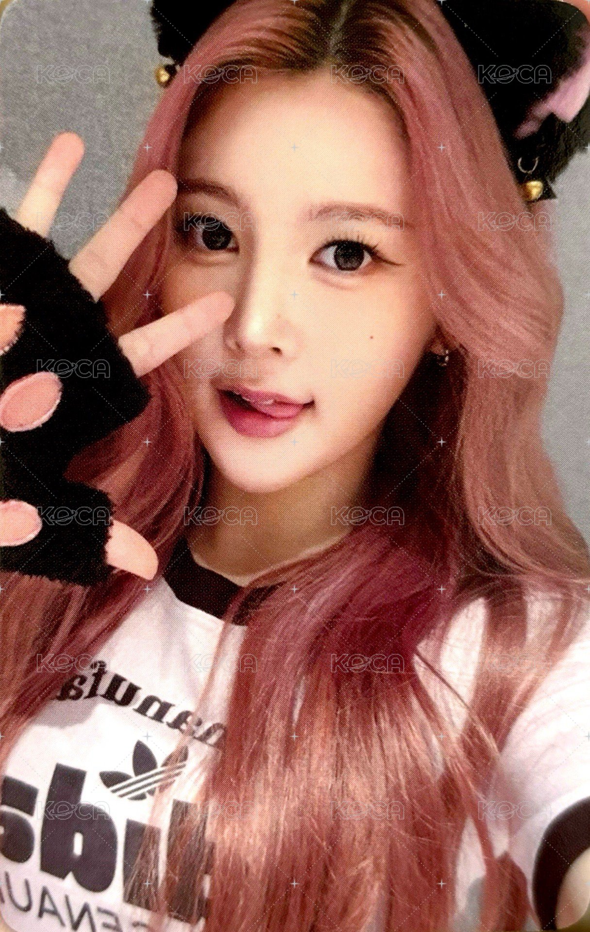 數單一 el 2.0 幸運卡  正面