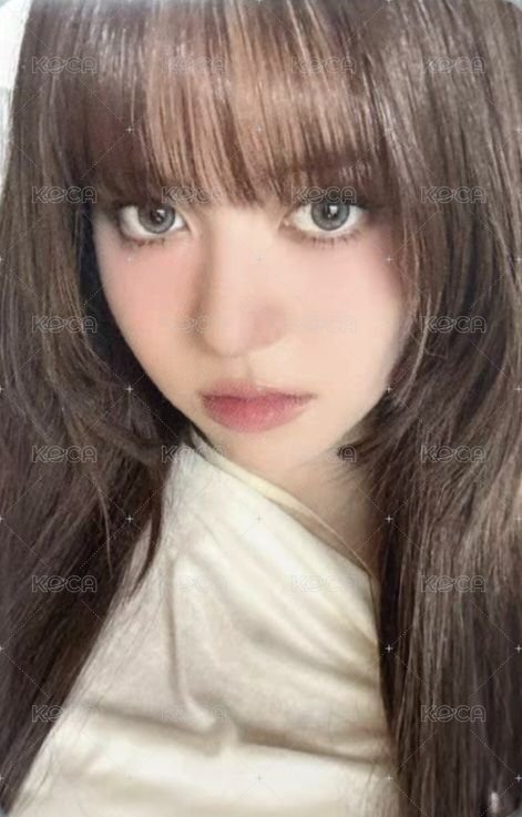FORWARD sr 4.0 簽售卡 妖精滿額莉 正面