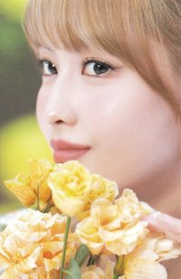 D’FESTA 迷你版 D社 周邊卡 