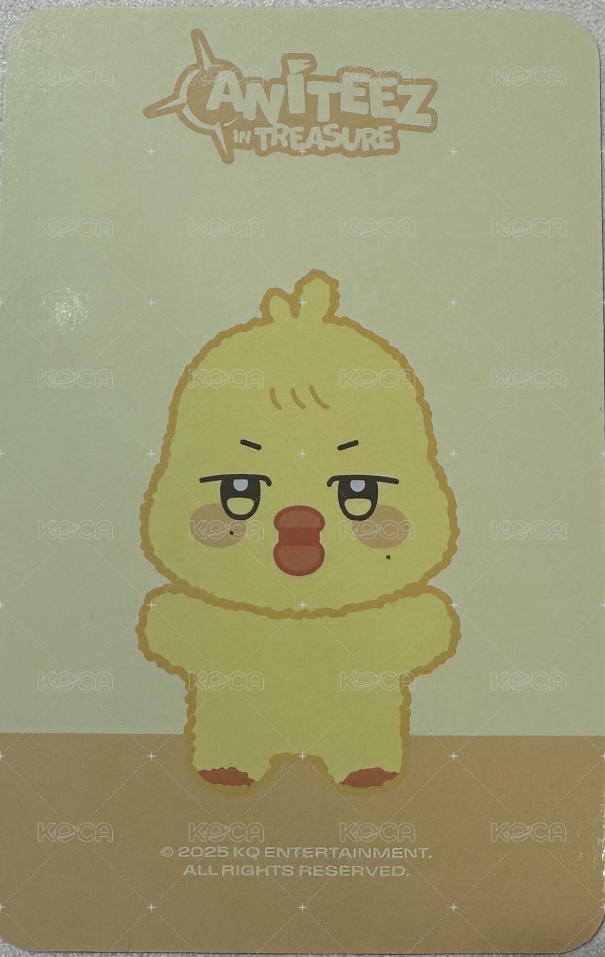 ANITEEZ IN TREASURE 周邊卡 MINI PLUSH 背面