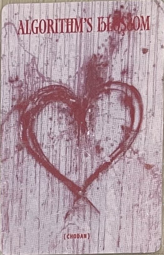 迷二 專輯卡 blossom ver. B 背面