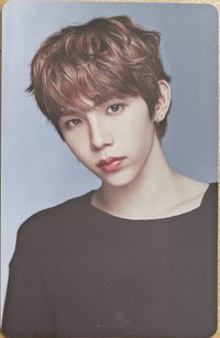 2025年曆 隨機卡 B版