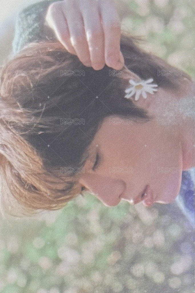 迷五 wvs 特典卡  正面