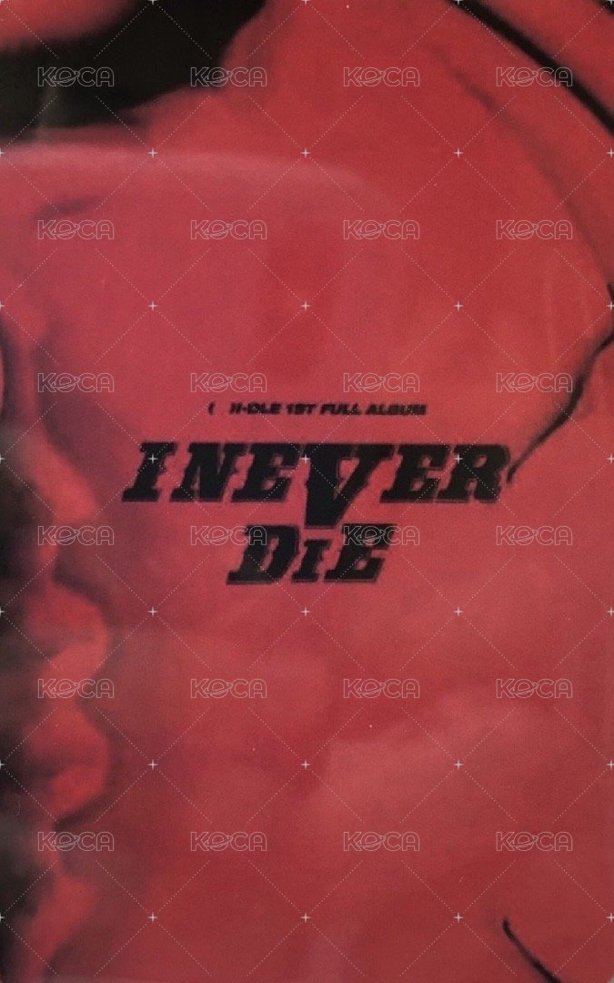 I NEVER DIE kms 1.0 特典卡  背面