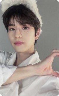 MAXIDENT 專輯卡 Heart ver.