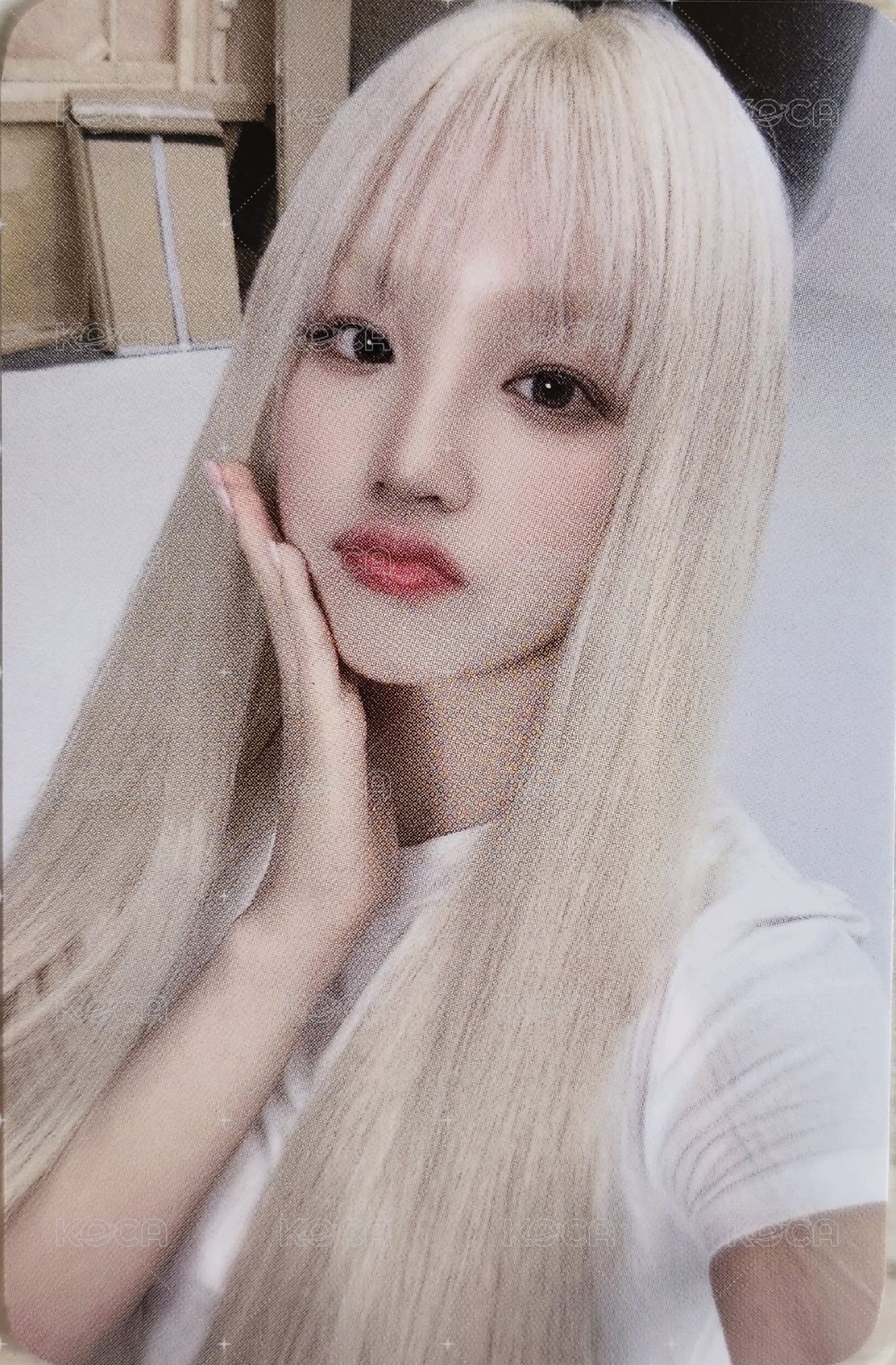 We are ny 上海線下 簽售卡  正面