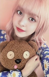 仲夏夜 wm 簽售卡 3.0 小熊莉