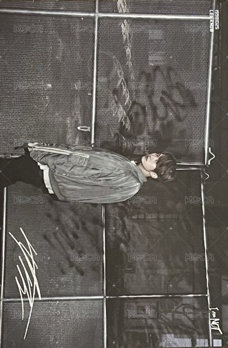 I am NOT 明信片 預購禮 正面