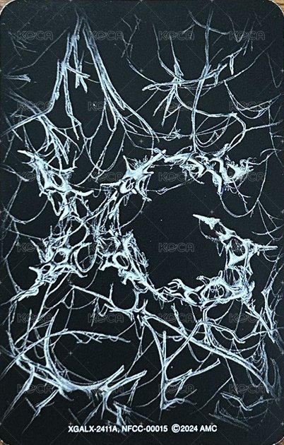 AWE 專輯卡  背面