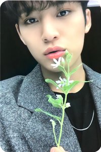 MINI9 interpark mp 特典卡 