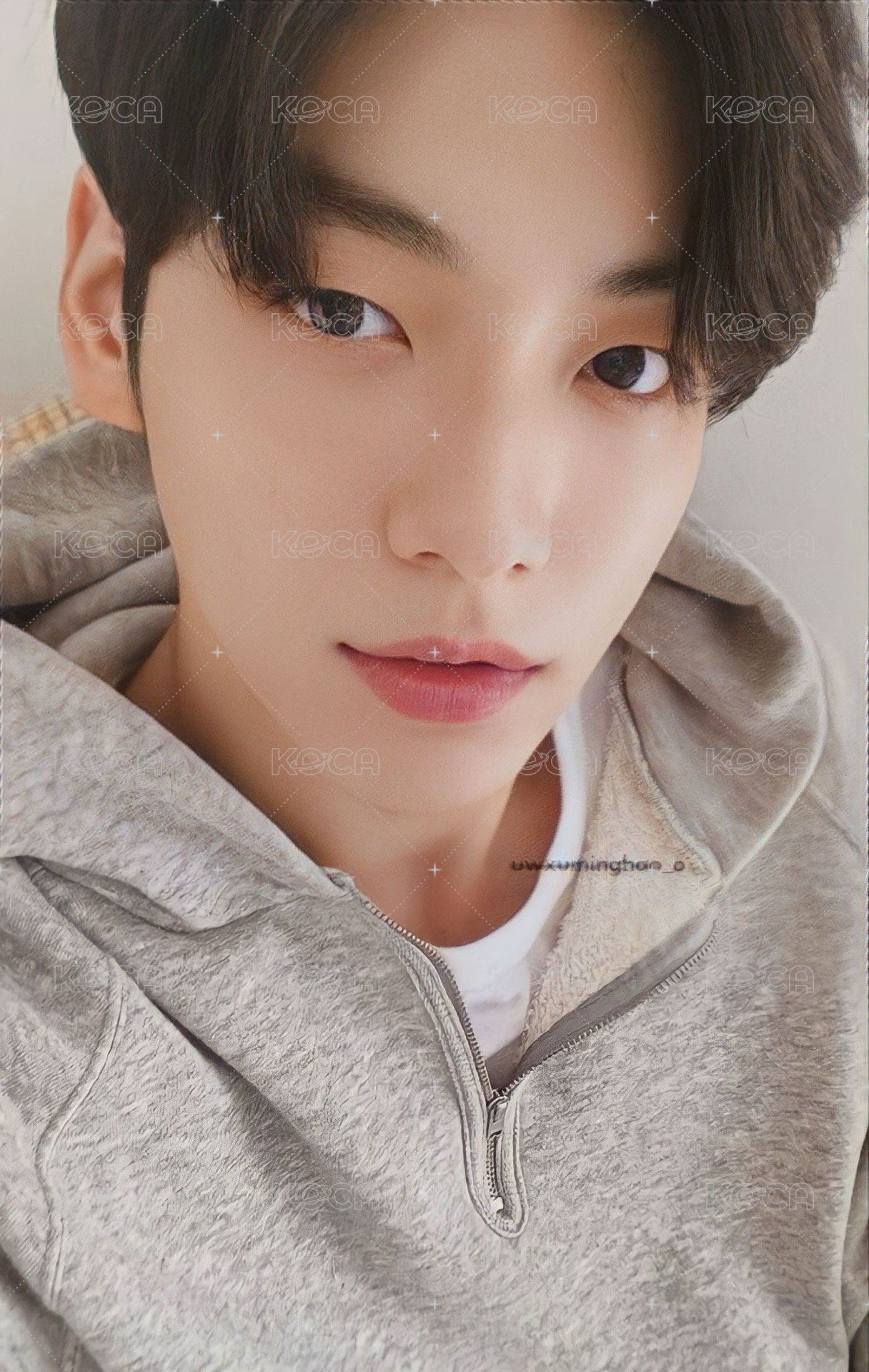 23年曆 wvs 年曆卡 卡 Home ver.崔秀彬 正面