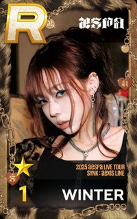 三巡 遊戲卡 冬