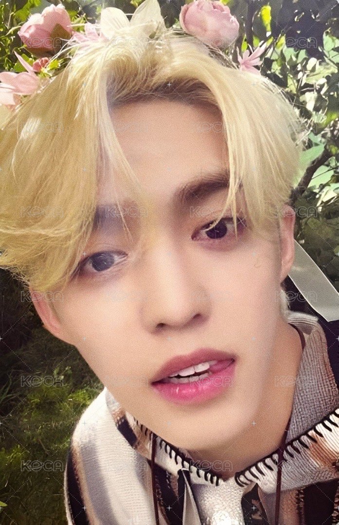 MINI11 專輯卡 ｜PM214 ver. 正面