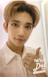 其他 入場卡 / 場限卡 19‘coex冬日慶典限定 wishdol