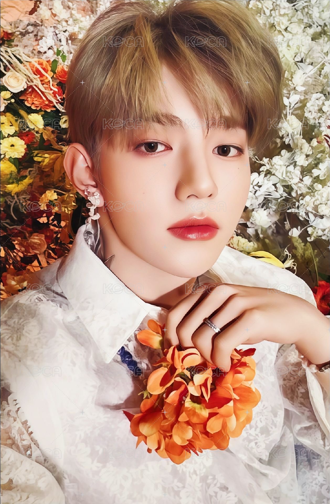 日專 專輯卡 初回A ver. 正面