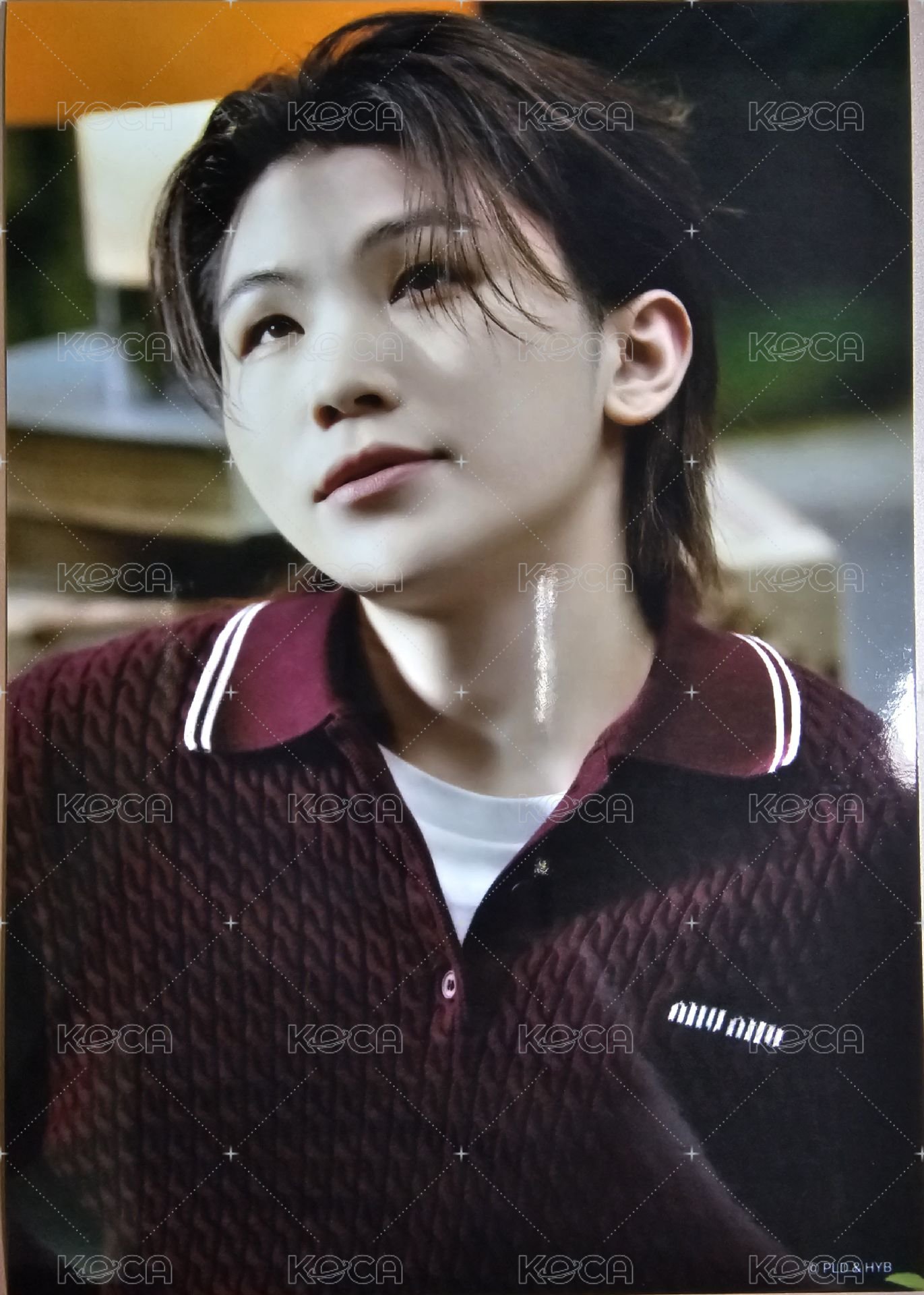 消費期限 生寫真  正面