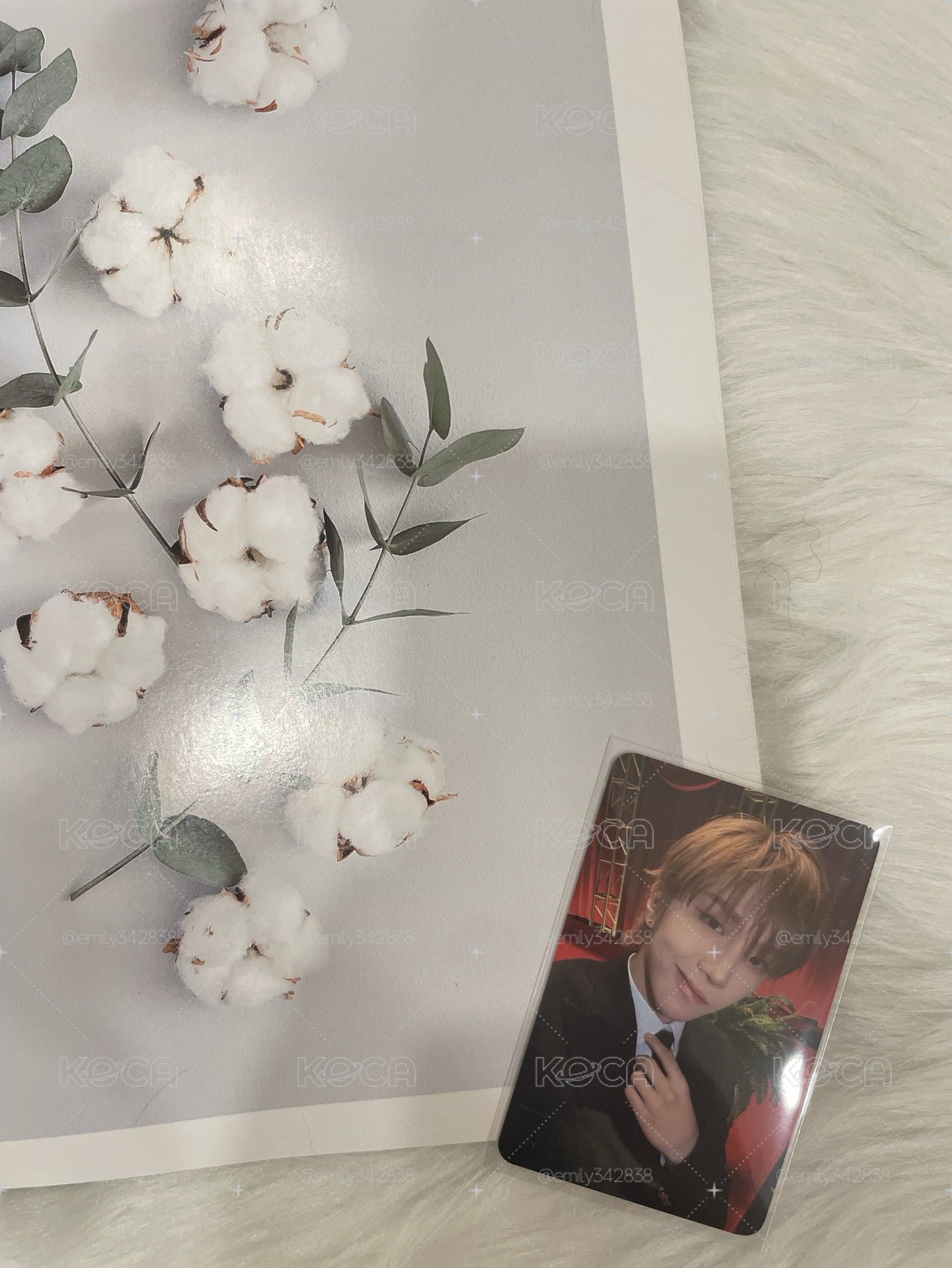 🍀【BND】🧸sc逆應援 入場卡