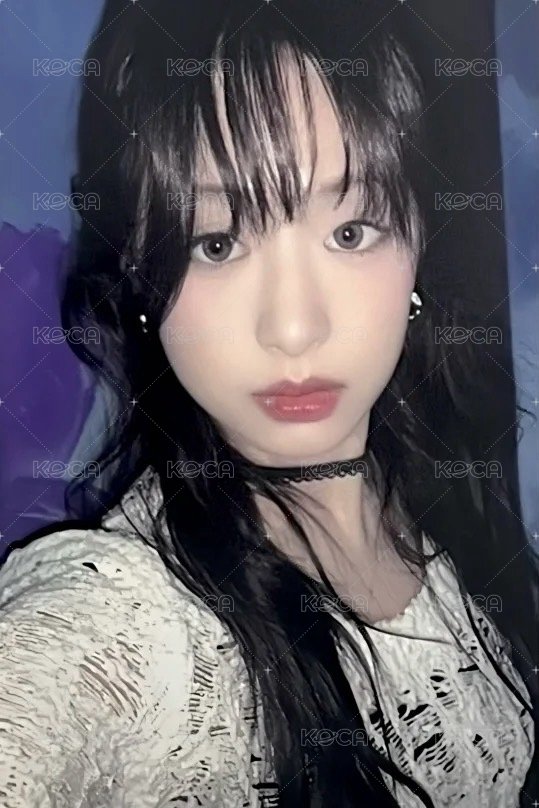 25’世巡 wvs 拼圖 周邊卡  正面