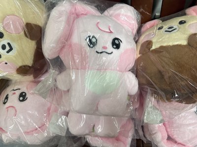 先私訊 NCT DREAM line friends 聯名快閃店 Dreamiez 大娃 渽民 志晟