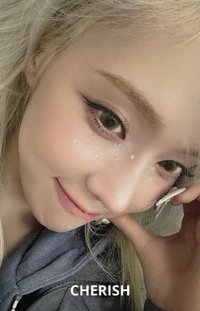 正規一 華納 特典卡 冬