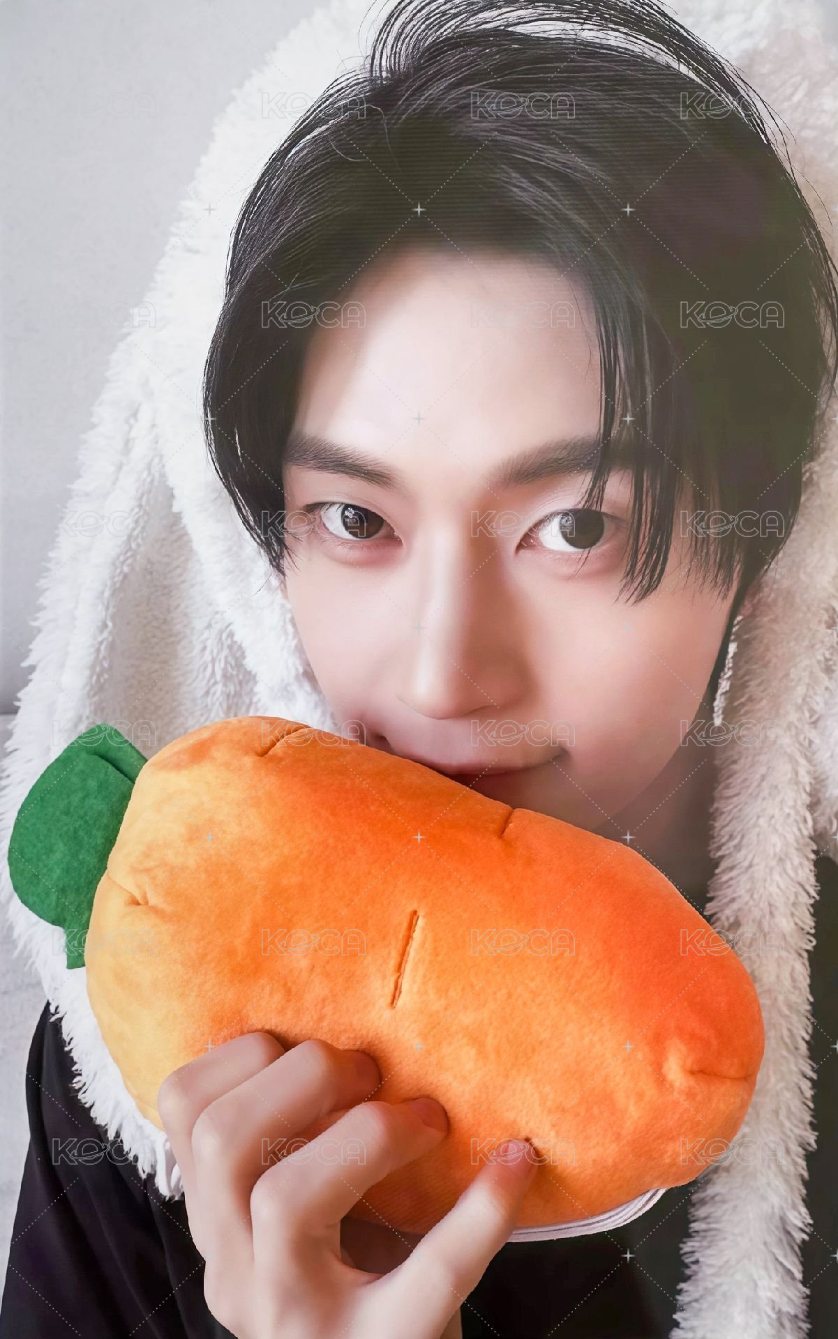 迷五 ms 特典卡 兔毯ver. 正面