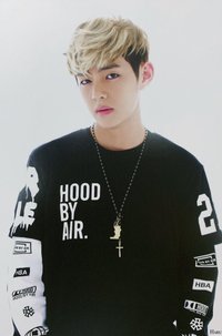 ARMYPEDIA 明信片 2C4S