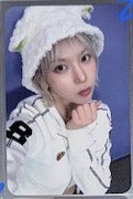 小羊